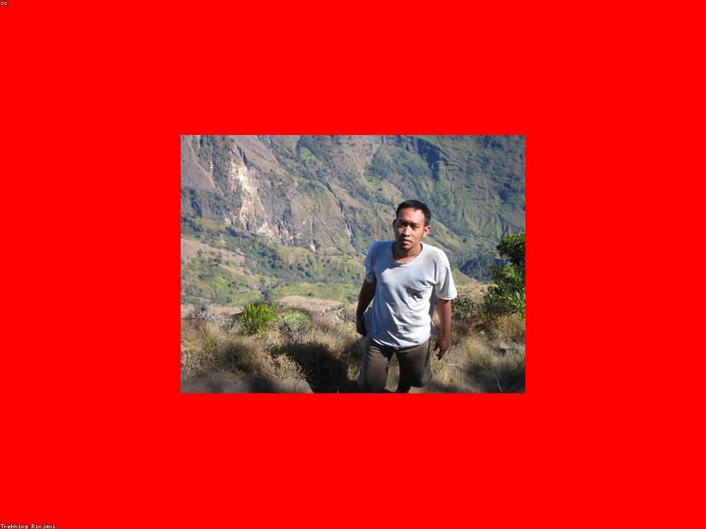 របាយការណ៍និងសកម្មភាព: ការវិភាគនិងយុទ្ធសាស្ត្រ